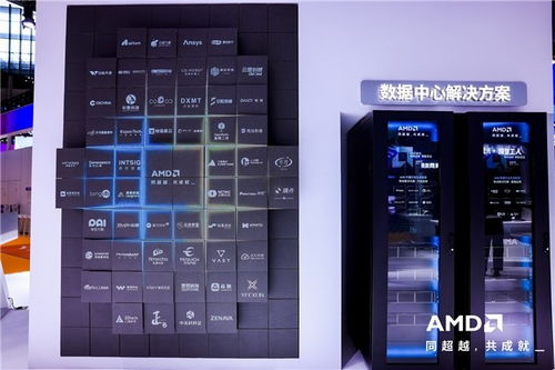 AMD携全栈式AI解决方案亮相进博会，赋能人工智能基础软件开发